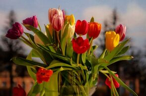 Εορτολόγιο: Σήμερα 26 Μαΐου 2025 γιορτάζει…