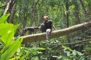 Παύλος Γεωργιάδης