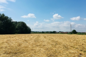 ΟΠΕΚΕΠΕ: Ψεύτικοι βοσκότοποι και το σκάνδαλο των επιδοτήσεων 