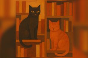 Βιβλιοθήκες και γάτες: Ο τέλειος συνδυασμός