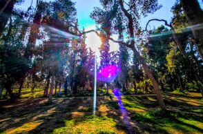 Καιρός: Ξηρός και επικίνδυνος ο Ιούνιος -  Έρχονται μελτέμια, αυξάνεται ο κίνδυνος για πυρκαγιές