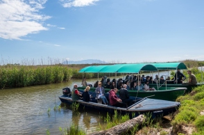 Δέλτα Έβρου 