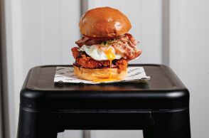 ΤΣΙΚΕΝ The Van