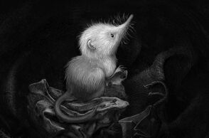 Η Κέιτ Μπους κυκλοφορεί την ταινία κινουμένων σχεδίων Little Shrew - Με θέμα ένα μικροσκοπικό θηλαστικό σε μια εμπόλεμη πόλη - Θα προβληθεί στις 24 Ιουνίου 