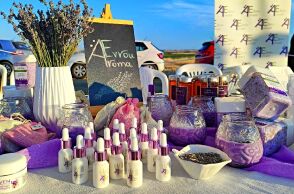 Φεστιβάλ Λεβάντας, Έβρος