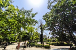 Ηλιοφάνεια