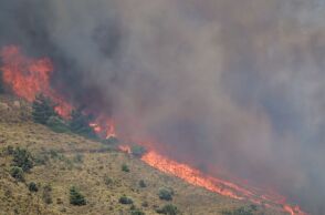 Πύρινη κόλαση στη Χίο: Καίγεται η Μονή Αγίου Μάρκου - Μπαράζ μηνυμάτων από το 112 για εκκενώσεις