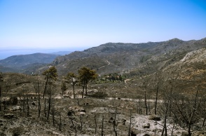 Καμένη έκταση από τη φωτιά στη Χίο