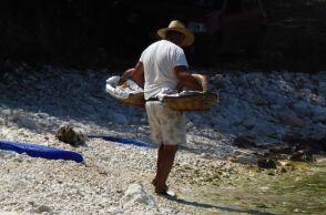 Θεσσαλονίκη: Στη φυλακή μετά την καταδίκη του ο αρχηγός της «μαφίας των λουκουμάδων» - Πώς δρούσε η εγκληματική οργάνωση 