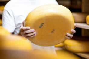 Νέα έρευνα δείχνει ότι τα γαλακτοκομικά, ειδικά σε άτομα με δυσανεξία στη λακτόζη, μπορεί να συνδέονται με πιο έντονους και ενοχλητικούς εφιάλτες.