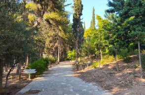 Άλσος Ιλισίων: Μια όαση γεμάτη δέντρα και μονοπάτια στην καρδιά της Αθήνας