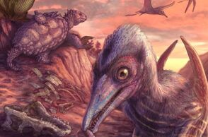 Νέα είδος πτερόσαυρου 209 εκατομμυρίων ετών ανακαλύφθηκε στην Αριζόνα - Είναι το αρχαιότερο ιπτάμενο ερπετό της Βόρειας Αμερικής