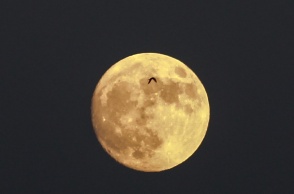 Πανσέληνος Ιουλίου 2025: Πότε θα δούμε το Φεγγάρι του Ελαφιού 