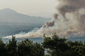 Φωτιά στον Ωρωπό: Προσήχθη ένας 72χρονος για εμπρησμό - Βρέθηκαν καμένες κυψέλες στο σημείο που άρχισε η πυρκαγιά