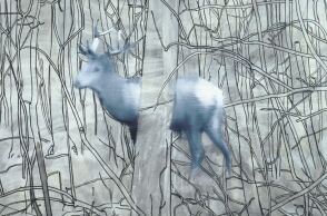 Γκέρχαρντ Ρίχτερ: Μεγάλη αναδρομική έκθεση στο Παρίσι