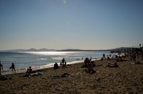 Τι να κάνετε αν σας τσιμπήσουν μωβ μέδουσες - Οι παραλίες όπου χρειάζεται προσοχή