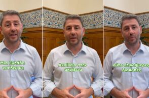 Ο Νίκος Ανδρουλάκης καταγγέλλει στο TikTok πως σχεδόν οι μισοί Έλληνες δεν μπορούν να κάνουν διακοπές, λόγω ακρίβειας και ακτοπλοϊκών τιμών.