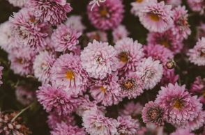 Εορτολόγιο: Σήμερα 27 Ιουλίου 2025 γιορτάζει…