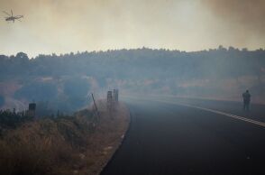 Εύβοια: Κάηκαν χιλιάδες ζώα - Ολοκληρωτική καταστροφή σε κτηνοτροφικές μονάδες και στάβλους