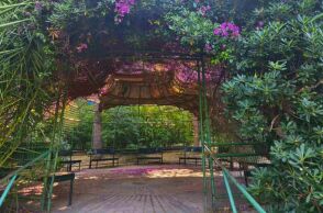 Βόλτα στο Άλσος Παγκρατίου: Μια ανάσα πρασίνου στο κέντρο της πόλης