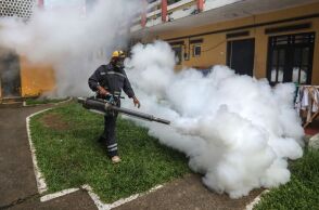 Περισσότερα από 7.000 κρούσματα του ιού τσικουνγκούνια στην Κίνα από τον Ιούλιο προκαλούν πανικό και επαναφορά μέτρων τύπου πανδημίας.