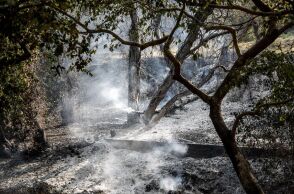 ΔΕΔΔΗΕ: Ποιες περιοχές παραμένουν χωρίς ρεύμα - Πού έχει αποκατασταθεί η ηλεκτροδότηση 