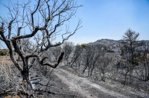 Καμένα από τη φωτιά στην Αχαΐα