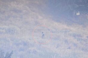 Πάτρα: Οι φωτογραφίες - ντοκουμέντα για τους εμπρησμούς - Οι κινήσεις των τριών δραστών 