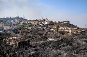 Καμένες εκτάσεις στη Χίο
