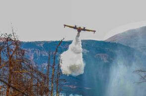 Υπάρχει άλλη πολιτική για τον έλεγχο των πυρκαγιών;