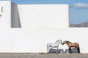 Ο φωτογράφος Γιώργος Κορδάκης και η αβίαστη ματιά στην ομορφιά