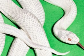 My Own Summer: Βάλτο εκεί που ξέρεις