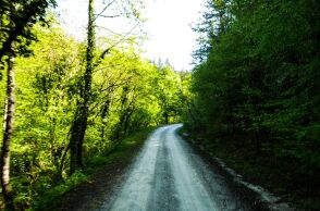 Παρανέστι: Μια διαδρομή και τέσσερις υδάτινοι τόποι