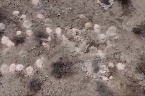 Πάνω από 100 στοίβες αποτεφρωμένων υπολειμμάτων εντοπίστηκαν στην έρημο της Νεβάδα, οδηγώντας σε ομοσπονδιακή έρευνα.