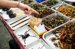 Αυξάνονται οι θεωρίες συνωμοσίας για «παγκόσμιες ελίτ που θα αναγκάσουν τις μάζες να τρώνε έντομα»