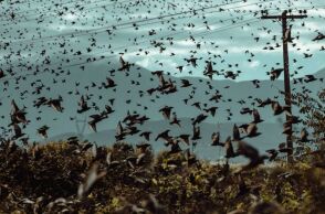 Σεπτέμβριος: Ένας μήνας αφιερωμένος στη λογοτεχνία