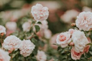 Εορτολόγιο: Σήμερα 23 Σεπτεμβρίου 2025 γιορτάζει…