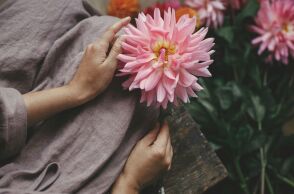 Ποιοι γιορτάζουν σήμερα 25 Σεπτεμβρίου 2025; Το εορτολόγιο της Athens Voice σου τους θυμίζει. Μην ξεχάσεις να τους δώσεις τις καλύτερες ευχές σου!