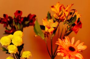 Ποιοι γιορτάζουν σήμερα 26 Σεπτεμβρίου 2025; Το εορτολόγιο της Athens Voice σου τους θυμίζει. Μην ξεχάσεις να τους δώσεις τις καλύτερες ευχές σου!