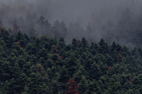 Εκδρομή με το αυτοκίνητο: μια απόδραση του μυαλού