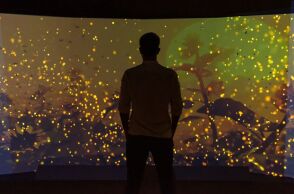 Το Εθνικό Μουσείο Φυσικής Ιστορίας Γουλανδρή  παρουσιάζει τη συναρπαστική Έκθεση «Βιοποικιλότητα. Όλα συνδέονται».