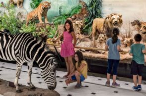 Ελεύθερη είσοδος για όλους στο Εθνικό Μουσείο Φυσικής Ιστορίας Γουλανδρή το Σαββατοκύριακο 15 - 16 Νοεμβρίου