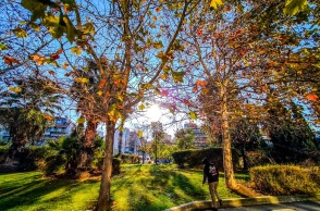 Ηλιοφάνεια