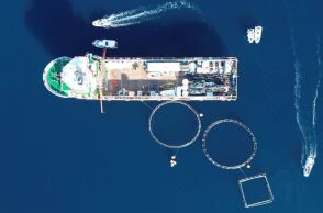 40 τόνοι απορριμμάτων απομακρύνθηκαν από εγκαταλελειμμένη μονάδα ιχθυοκαλλιέργειας στα Μέθανα - Κοινή δράση Healthy Seas και Ιδρύματος Λασκαρίδη.