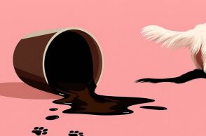 Alexandra Potter: «Εξομολογήσεις μιας σαραντάρας (και κάτι) που τα σκά**σε»