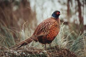 athensvoice_-_2025-12-02t172543_618