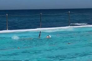 athensvoice_-_2025-12-03t174848_534