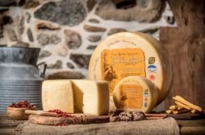 athensvoice_-_2025-12-07t195107_270