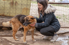 Kaizen Gaming | Ιστορίες που μας ενώνουν