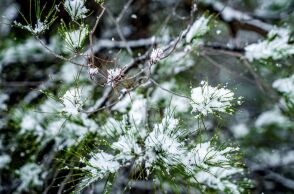 Καιρός: Βροχές στα νότια και παγετός στα βόρεια την Κυριακή 21 Δεκεμβρίου - Καταιγίδες σε Κρήτη και Δωδεκάνησα, χαμηλές θερμοκρασίες στην ηπειρωτική χώρα